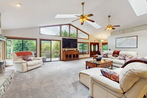 TV, fireplace, books