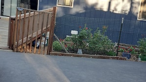 A residential house with a dark blue exterior, a wooden deck, and a fenced garden area. -    Cozy cottage for vacation in Cedar Ridge near its famous trail. (Sonora)