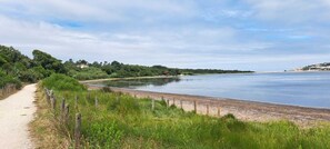A coastal path leading to a sandy beach with a fence and greenery. - Casa do Remo - Outdoor Living (Óbidos)
