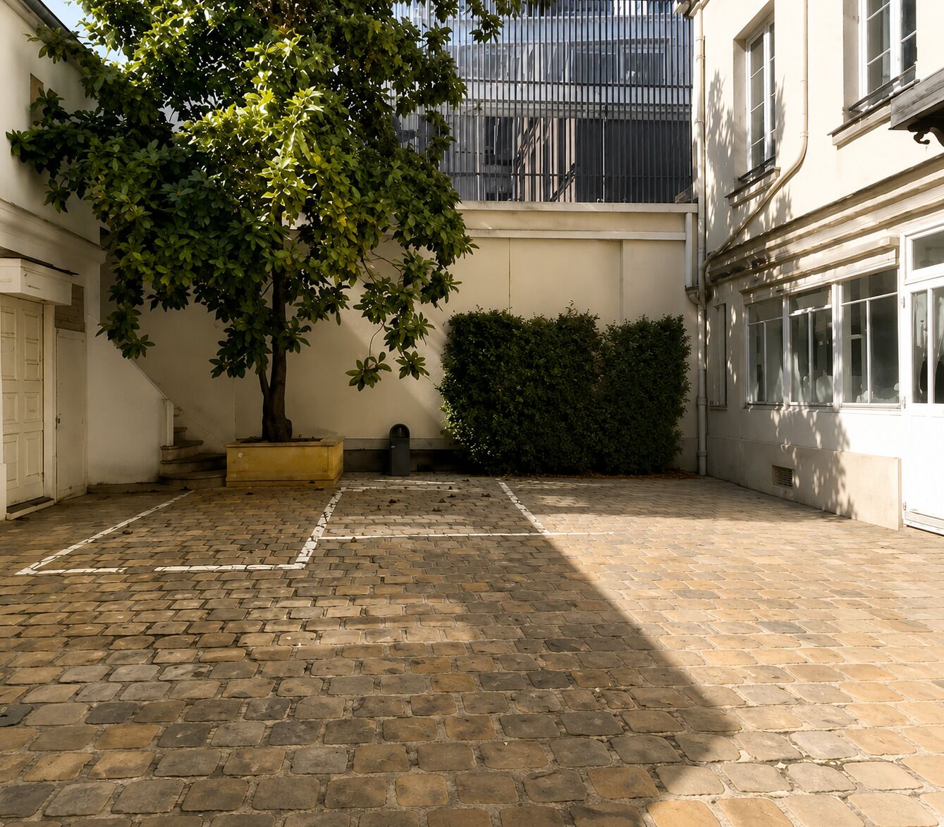 Une cour avec un sol pavé, un arbre et une haie.
