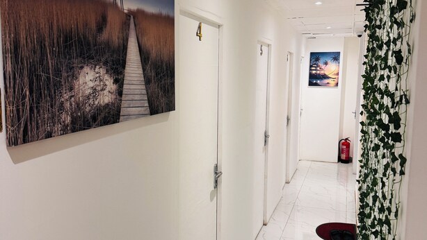 Un couloir aux murs blancs, un tableau représentant une plage, un extincteur et une plante en pot.