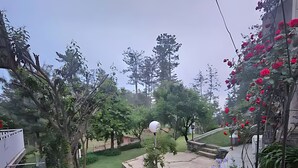 A garden with red roses, a white spherical structure, and various trees. - Alpine Luxe Villa (Murree)
