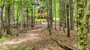 Property grounds - Bearadise - 4 BR Cabin in Gated Community! Hot tub, Games, Firepit, Pool Table (Blue Ridge)