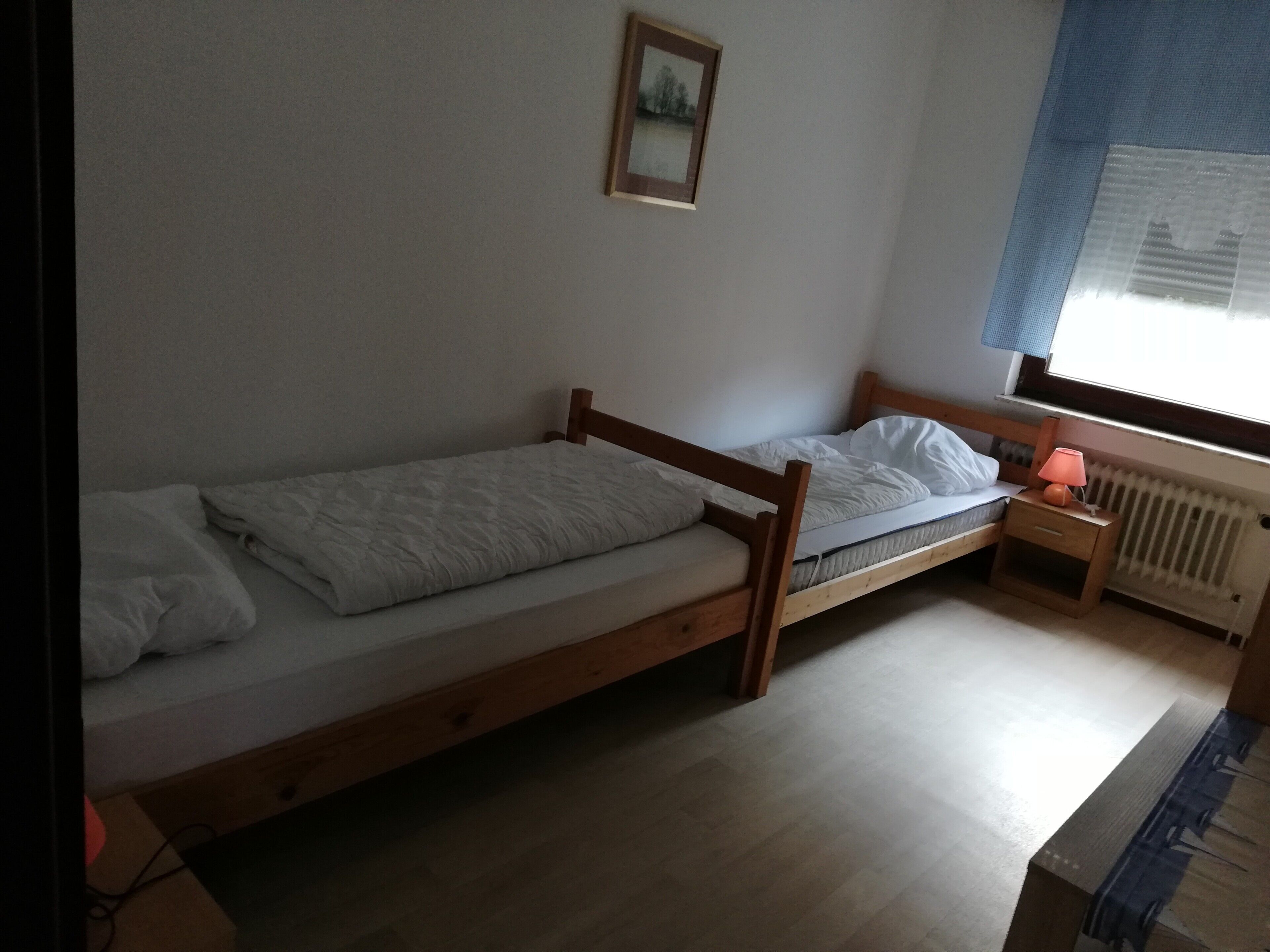 Una cama individual con estructura de madera, una mesita de noche con lámpara y una ventana con vistas a árboles.