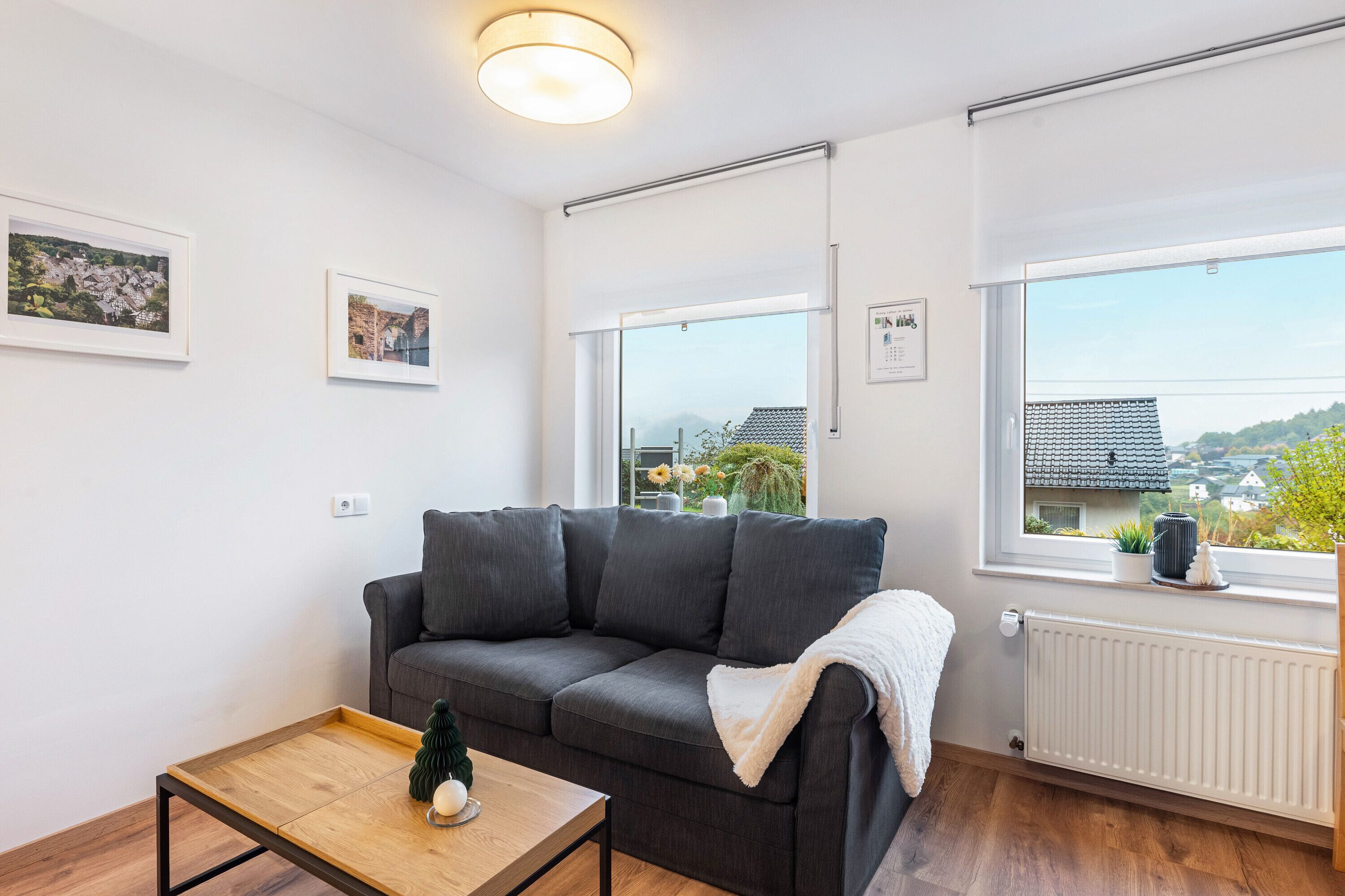 テレビ、DVD プレーヤー