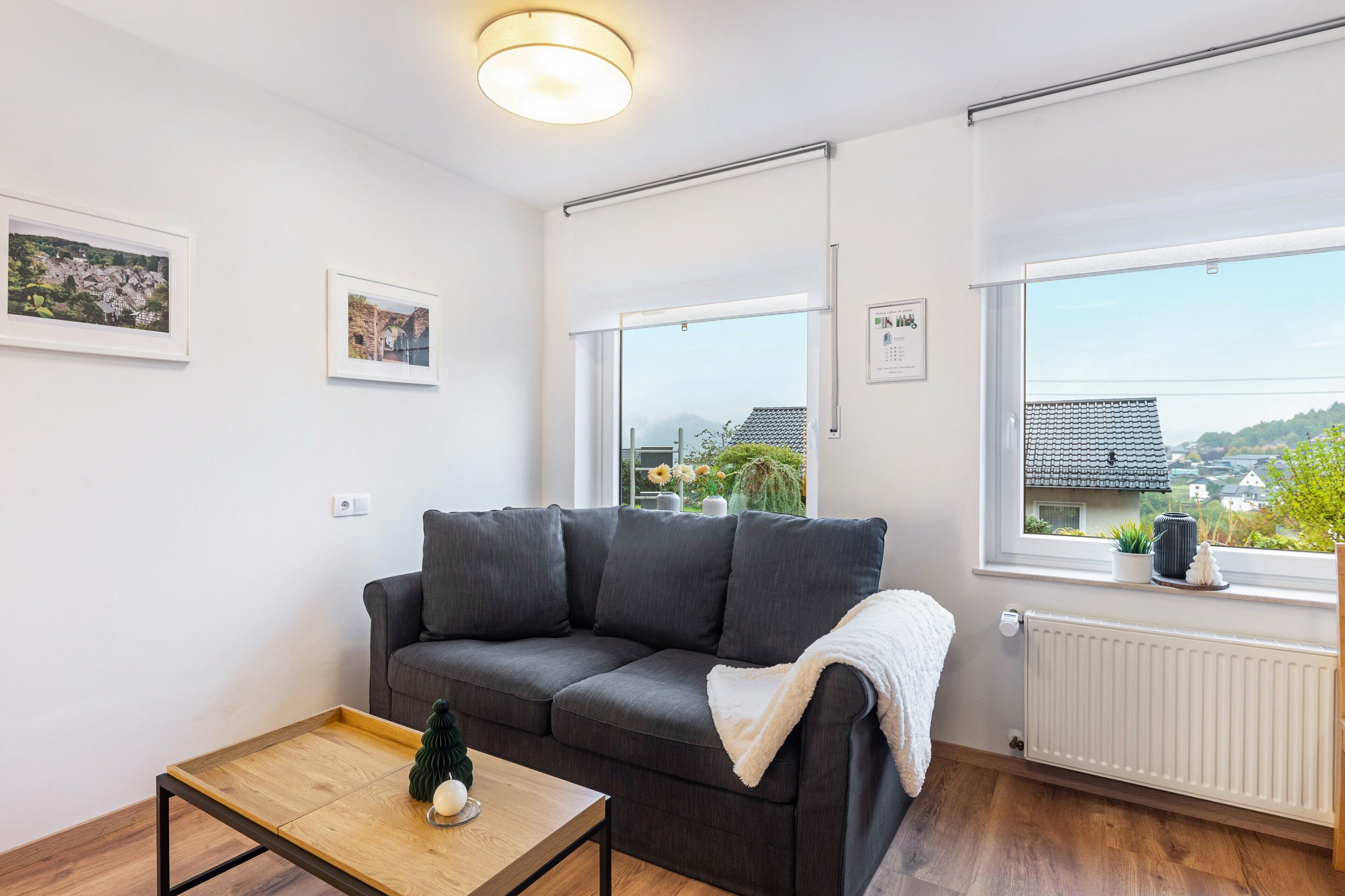 Televisión y reproductor de DVD 