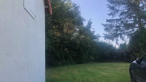 Une cour arrière verdoyante avec une voiture garée sur le côté droit.