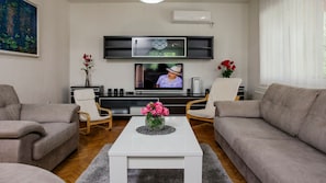 Fernseher