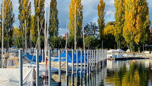 A marina with boats docked, a calm water surface reflecting the surroundings, and trees with yellow leaves.