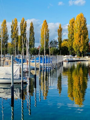 A marina with boats docked, a calm water surface reflecting the surroundings, and trees with yellow leaves.