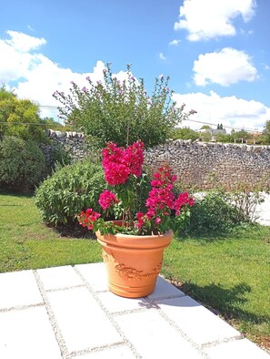 Terrein van de accommodatie