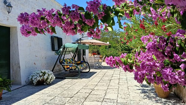 Terraza o patio