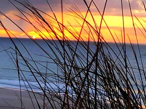 Nær stranden