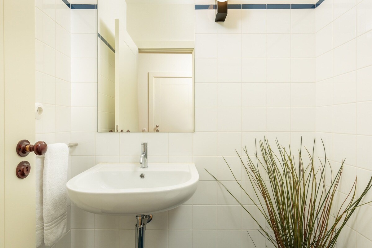 A bathroom with a white sink, a mirror, a towel rack, and a plant.