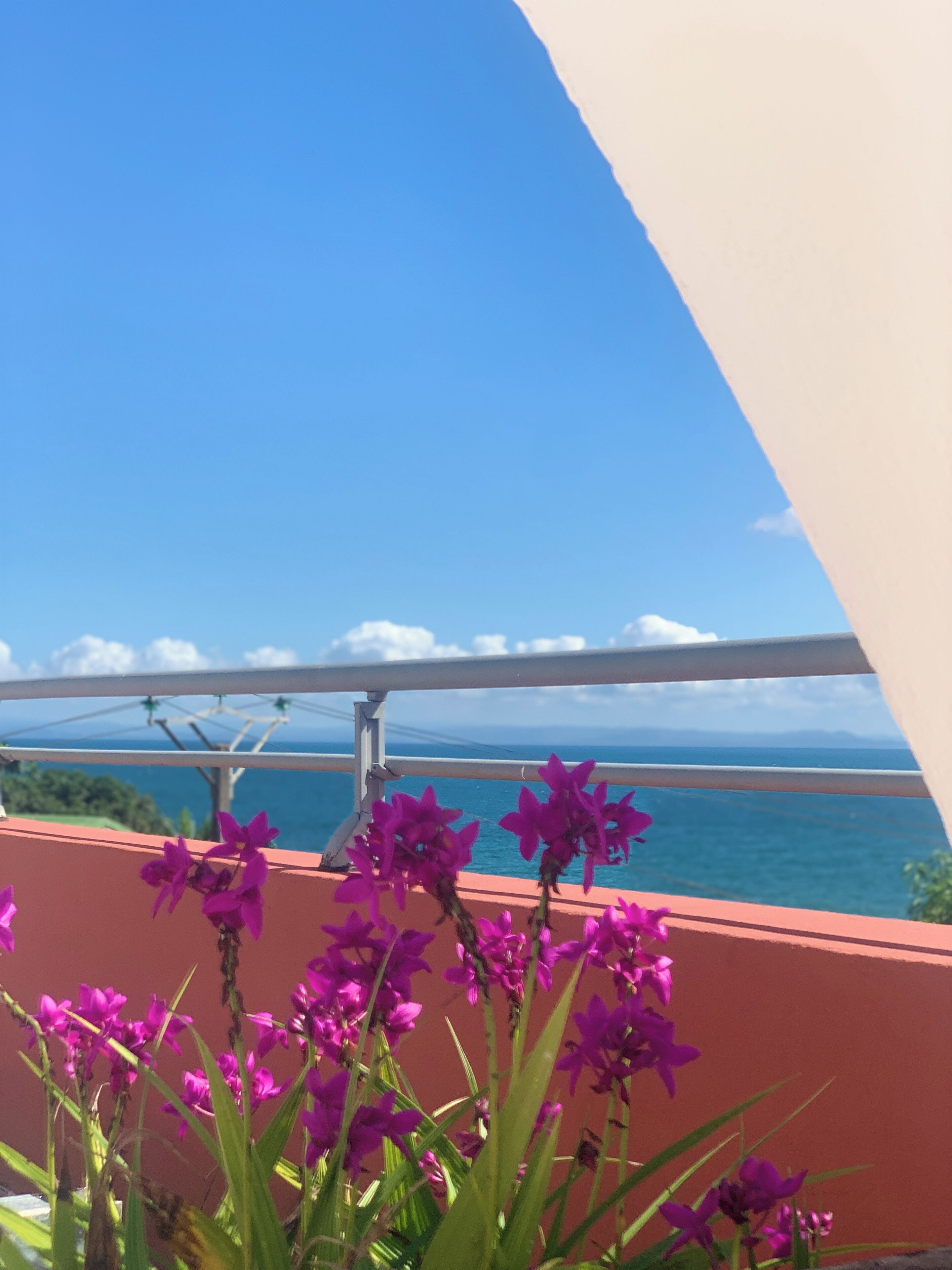 Un balcone con fiori viola e vista sull'oceano.