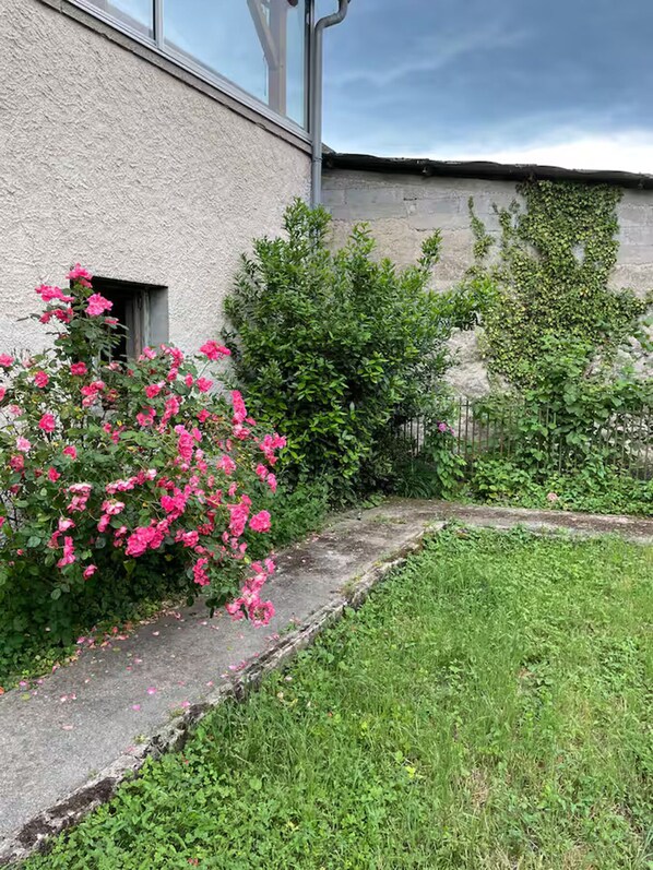 Overnattingsstedets uteområder