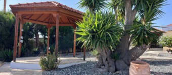 Charming Erimi Villa with Private Pool and Garden View