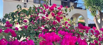 Charming Erimi Villa with Private Pool and Garden View