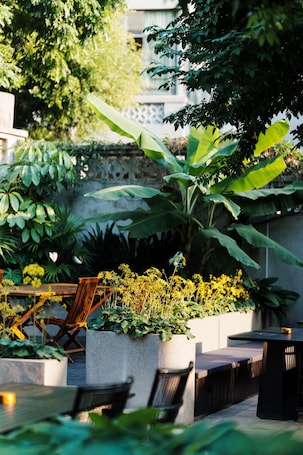 Vista al patio