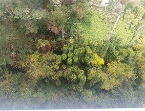 施設の敷地