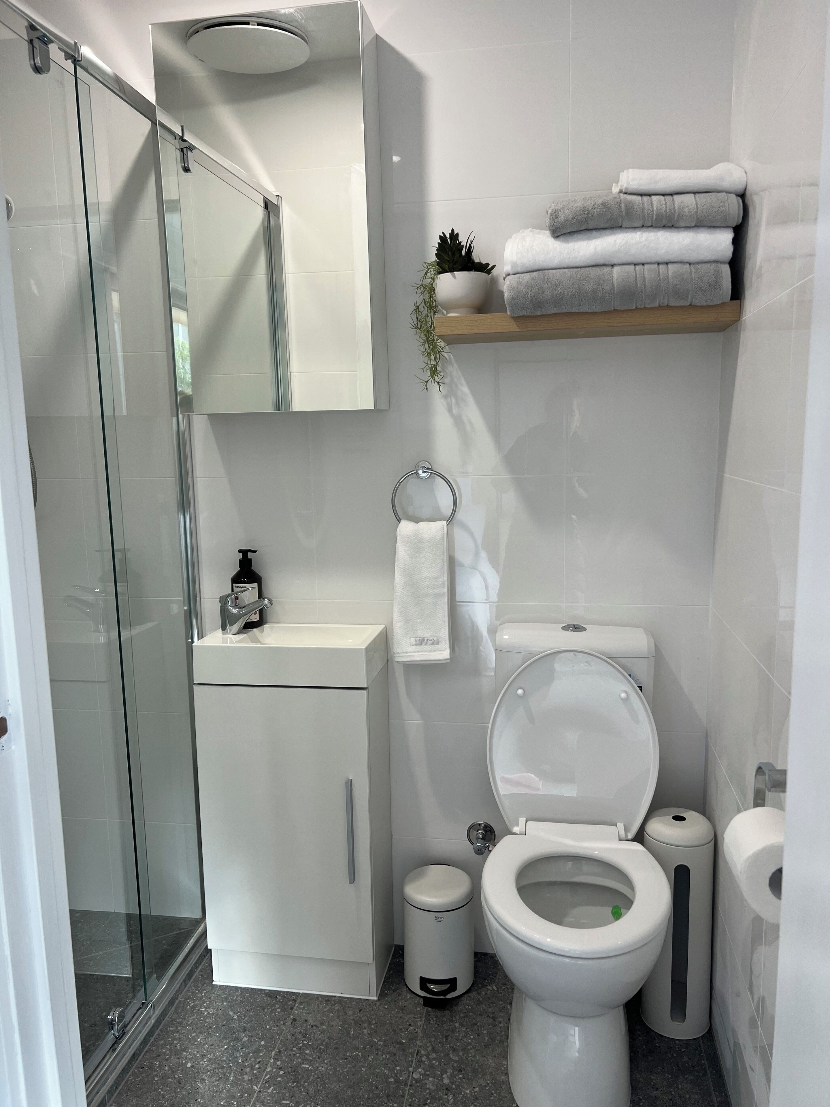 Hair dryer, towels, soap, shampoo