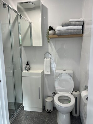 SĂšche-cheveux, serviettes fournies, savon, shampoing