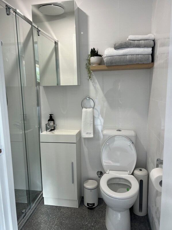 Ein modernes Badezimmer mit Duschkabine aus Glas, Waschbecken in Weiß, Toilette und einem kleinen Mülleimer.