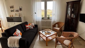 Televisor i llibres