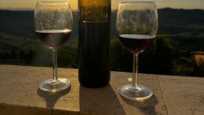 A bottle of wine and two glasses on a ledge with a scenic view in the background.