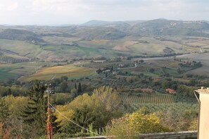 Miscellaneous - AUNT MARISA (MONTEPULCIANO)