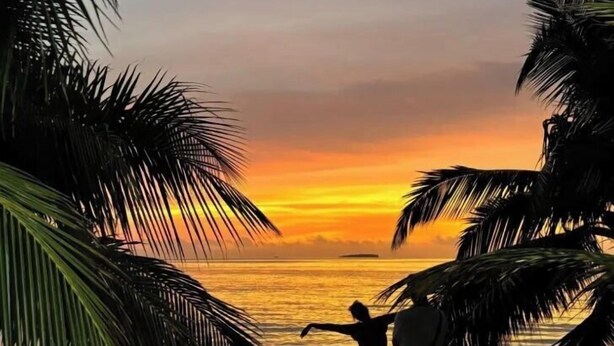 Escena de playa con palmeras y un atardecer sobre el océano.