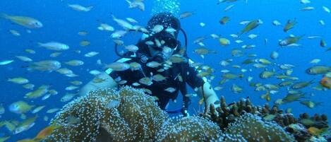 On the beach, beach towels