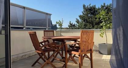 La mouette rieuse, terrace, sea view, beach access