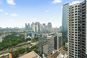 Apartment, 1 Bedroom, City View | View from room