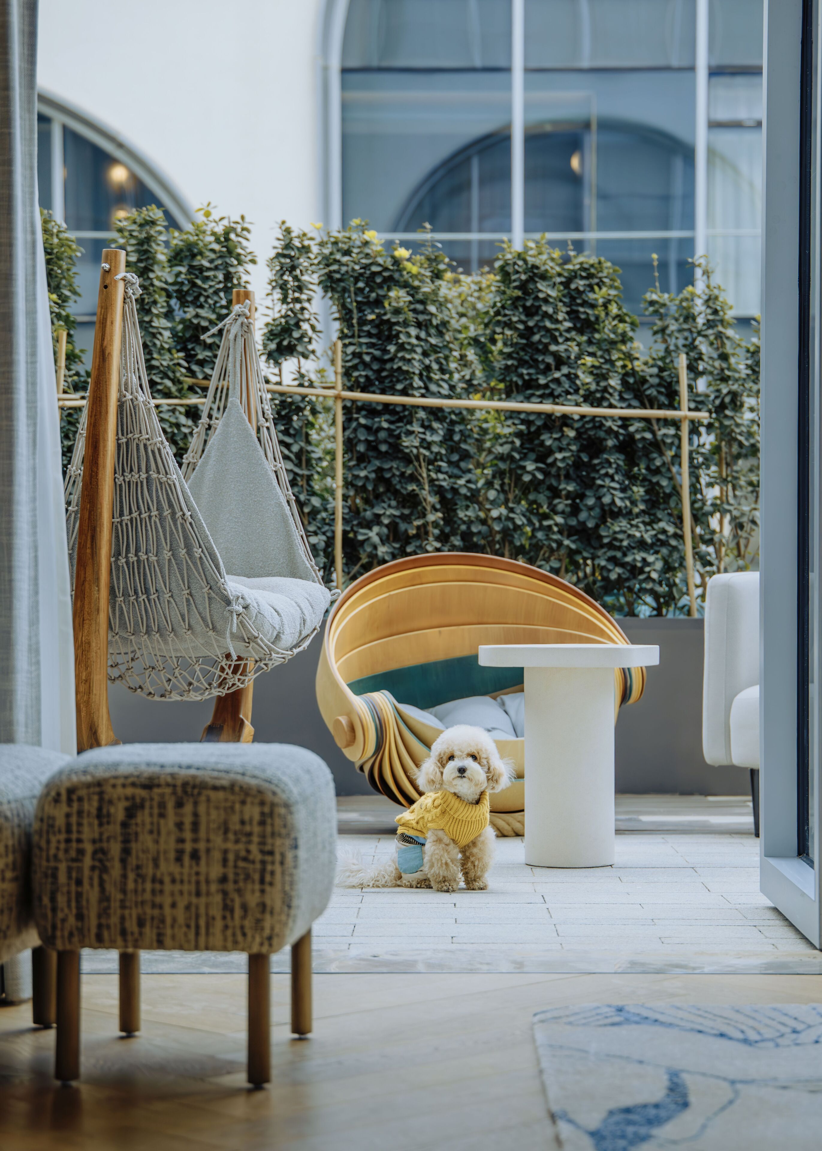 A modern interior with a hammock, a wicker chair, a small dog, and a view of greenery outside.
