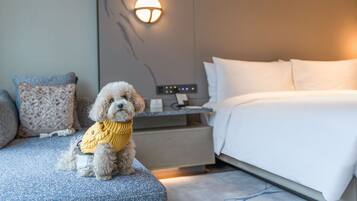 Chambre Double Standard, animaux de compagnie acceptés, cÎté cour intérieure