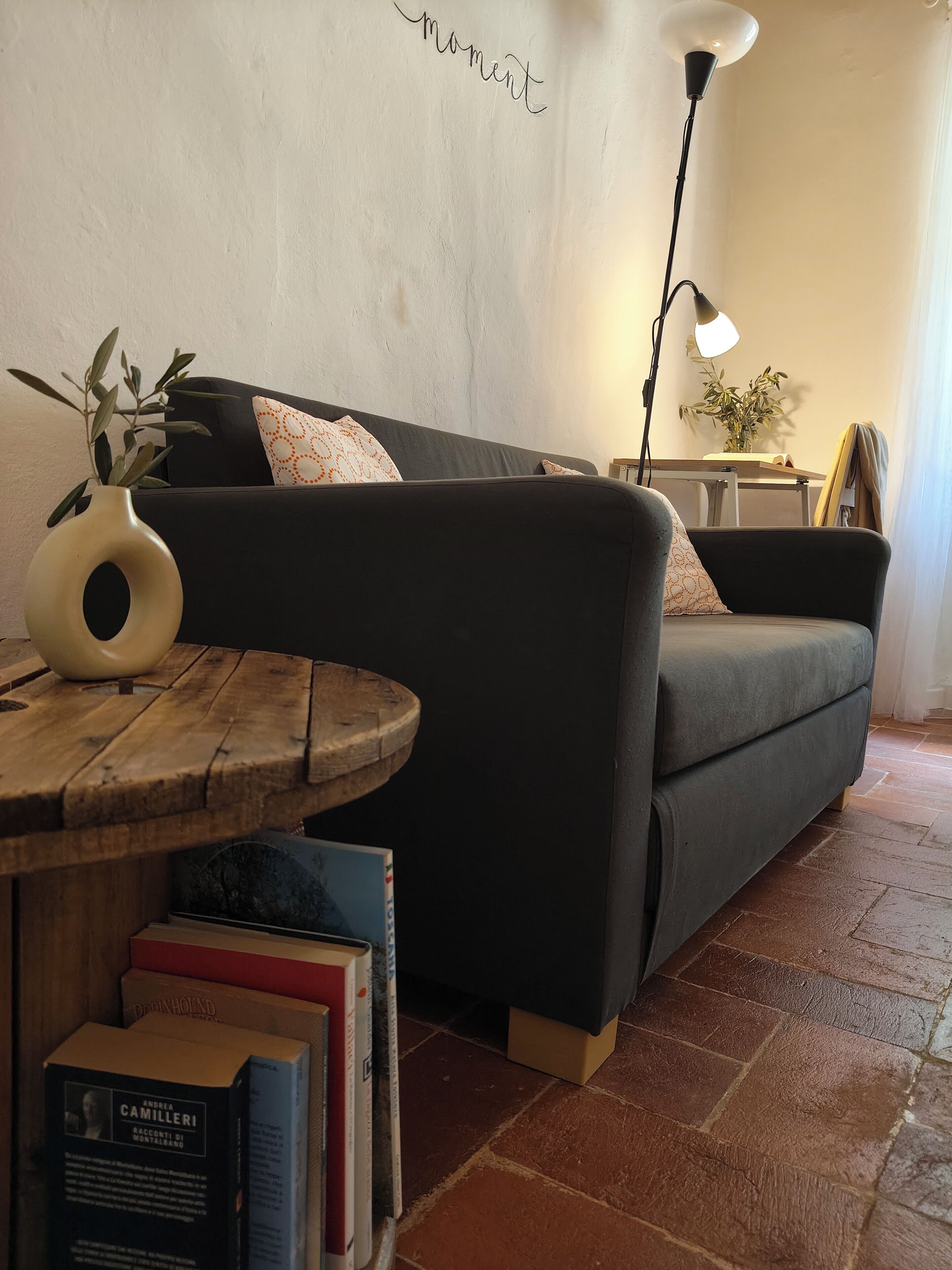 Fernseher, Bücher