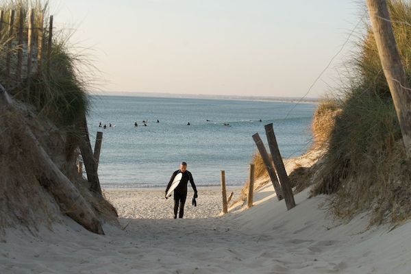 Selancar/boogie boarding