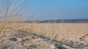 A sandy beach with dunes and a clear sky.