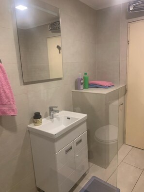 Sèche-cheveux, serviettes fournies, savon, papier toilette