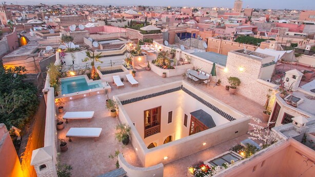 A rooftop terrace with a swimming pool, lounge chairs, and potted plants.