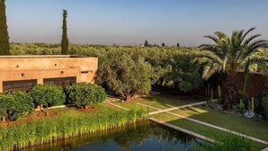 Un jardin aménagé avec un bassin, des palmiers et un bâtiment doté de grandes fenêtres.