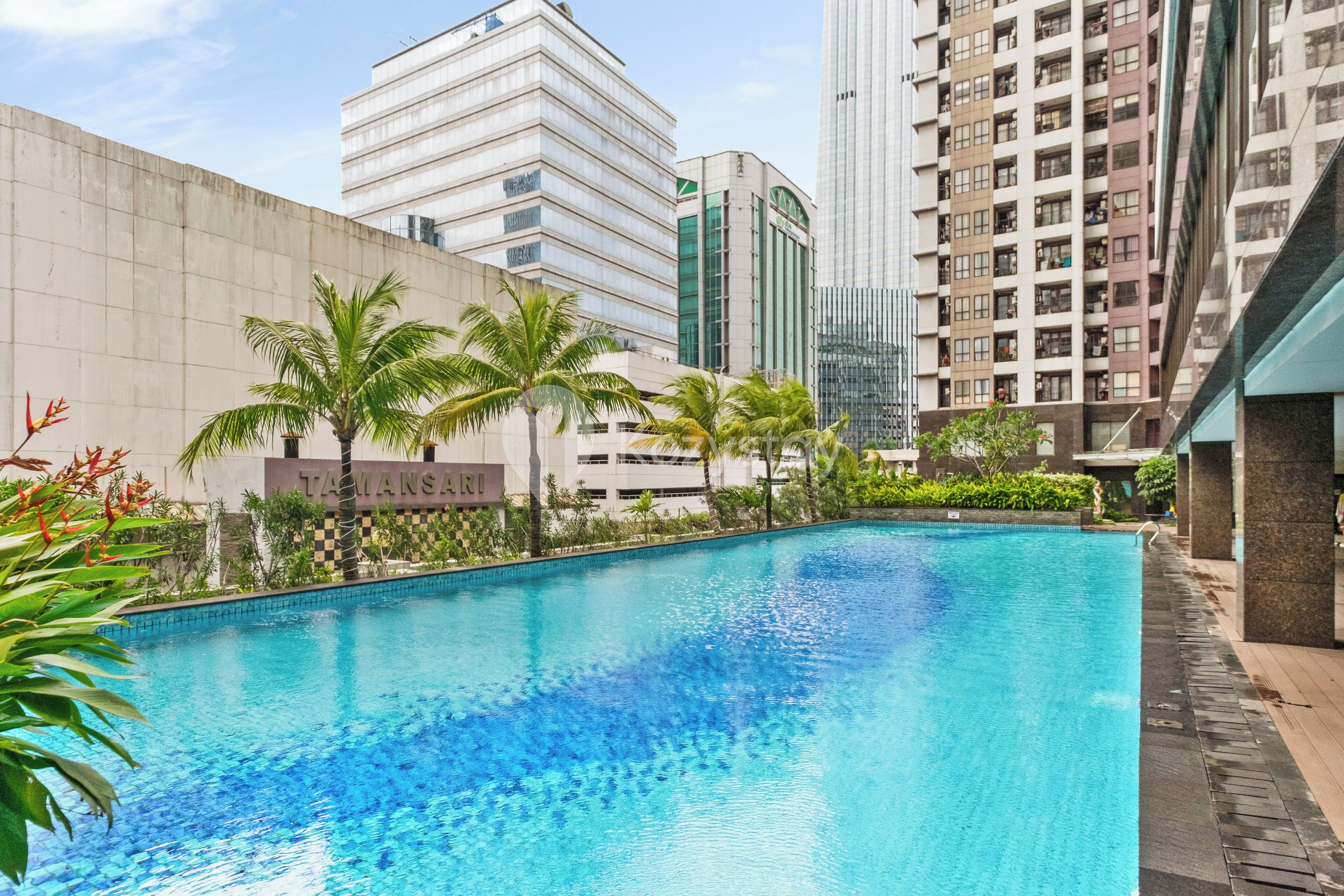 A swimming pool surrounded by palm trees and modern buildings.