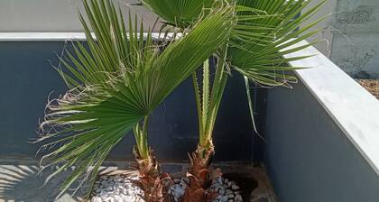 Nea Vrasna Sun House