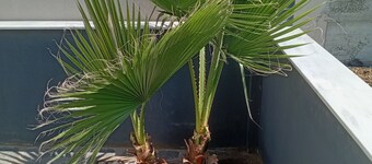 Nea Vrasna Sun House