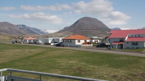 A residential area with houses, a road, and a mountain in the background.