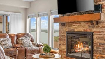 TV, fireplace, video games, books