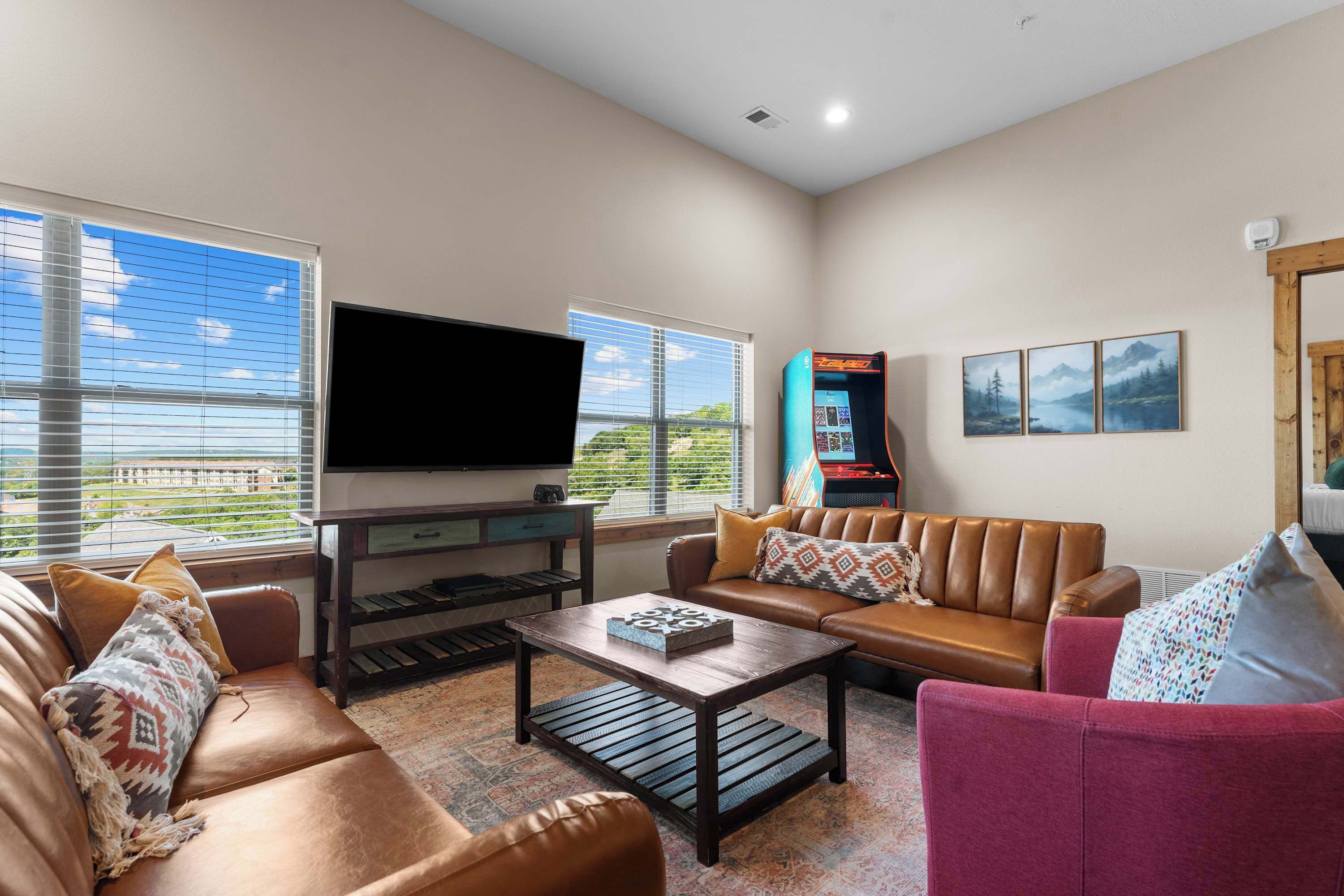 TV, fireplace, video games, books