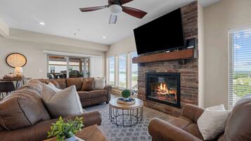 TV, fireplace, video games, books