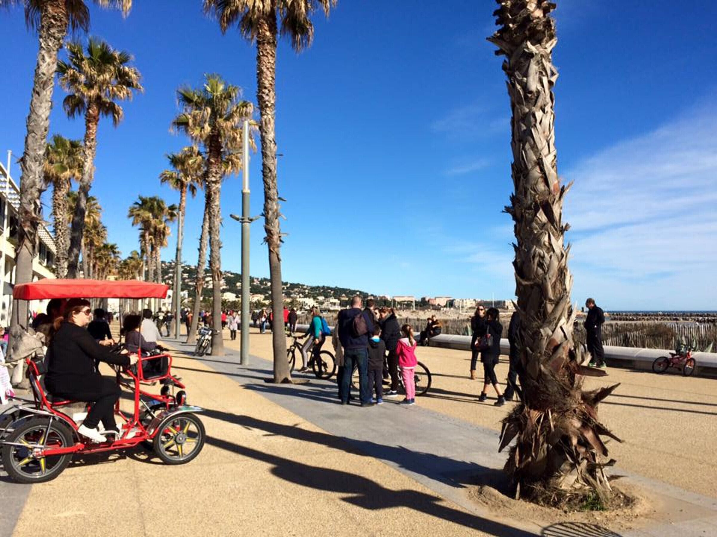 Une promenade en bord de mer, bordée de palmiers, où l’on peut voir des gens se promener et un tricycle rouge.